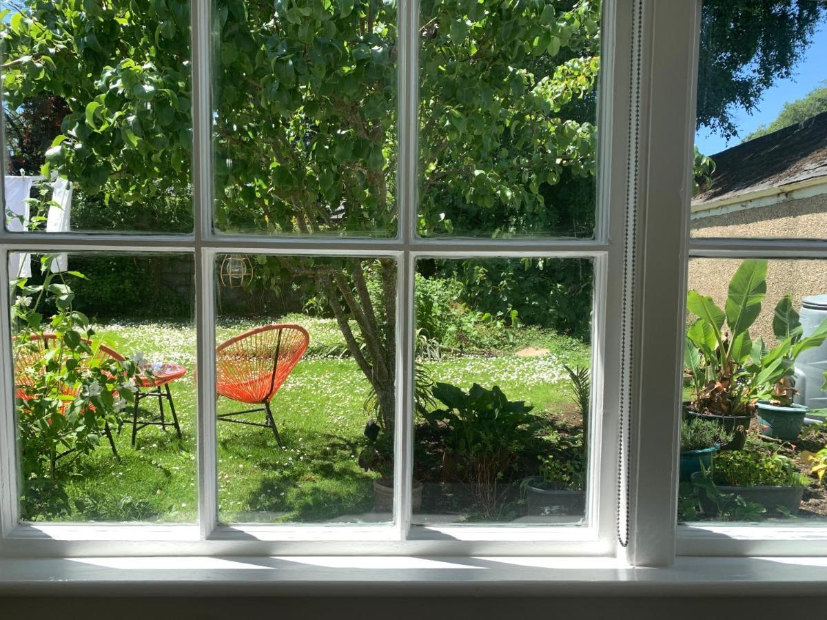 Puffin. Comfortable Annexe Central Falmouth Eksteriør bilde